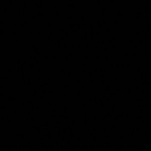 Meet your Posher, Ellie